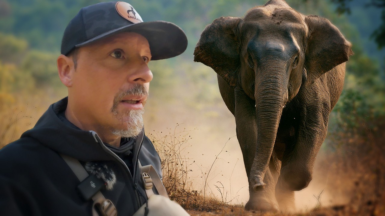 Endless Venture's film thumbnail for tracking elephants in Nepal