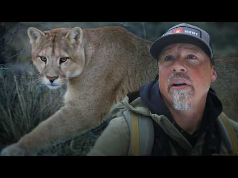 I Tracked Down a Mountain Lion to its Kill — official film thumbnail