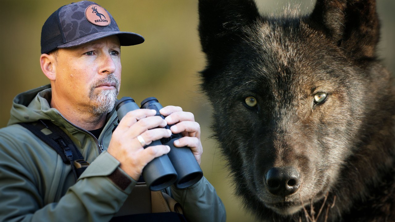 Endless Venture's wolf den film thumbnail